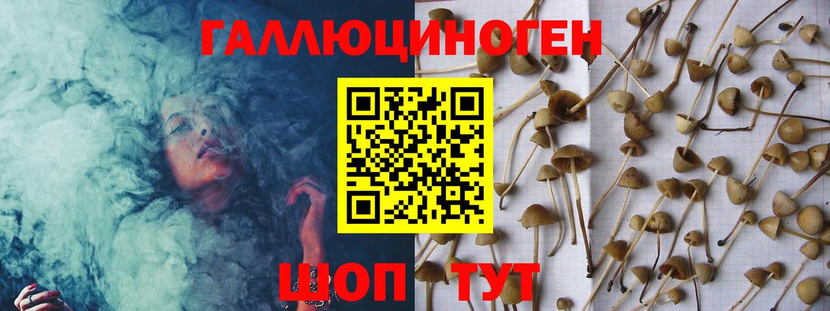 Псилоцибиновые грибы мухоморы  Вход с VPN  купить   Тара  Галлюциногенные грибы мицелий 